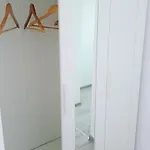 Center 布拉索夫